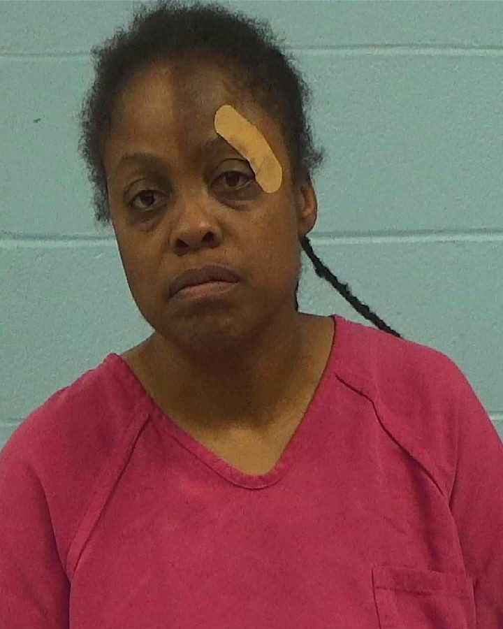 QUILTER, CONSTANCE LEAKA arrested by Williamson County PD/SO