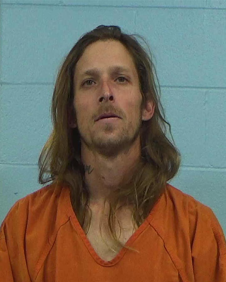 Allen, Harold Robert, III arrested by Williamson County PD/SO