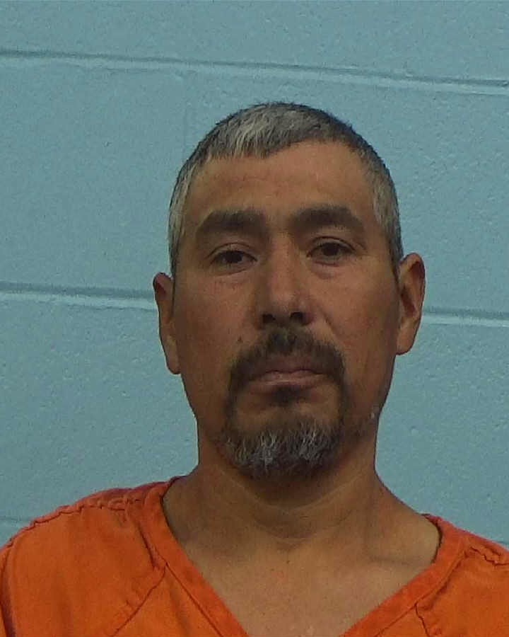 Gonzalez De Santiago, Guadalupe arrested by Williamson County PD/SO