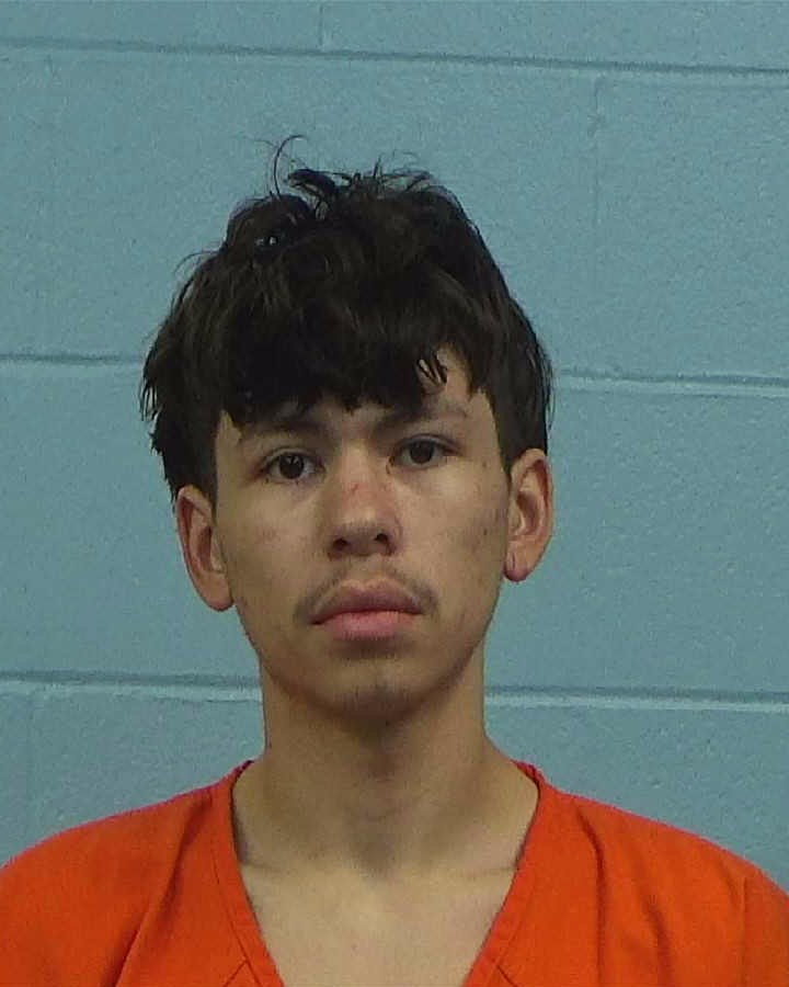 Kelly, Logan Mitchell arrested by Williamson County PD/SO