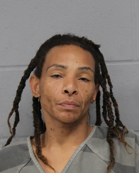 NICOLE HULL arrested by APD