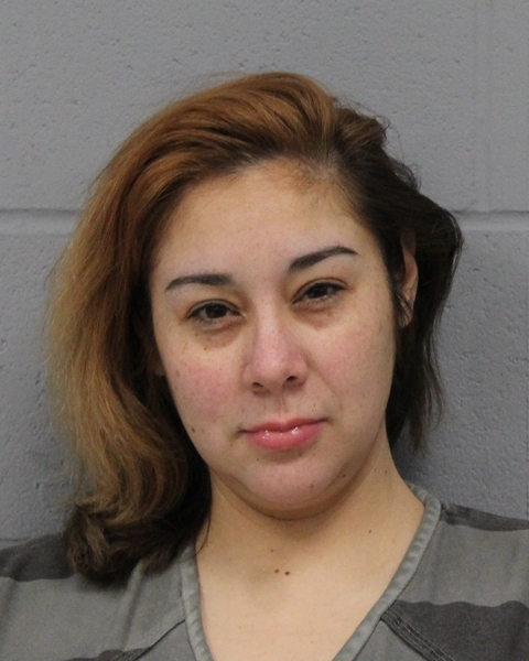 LYNN UGIANSKY arrested by APD