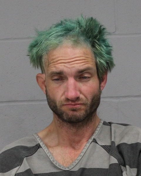 DAMEN HORNER booking photo