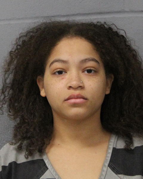 DIVINE JACKSON booking photo