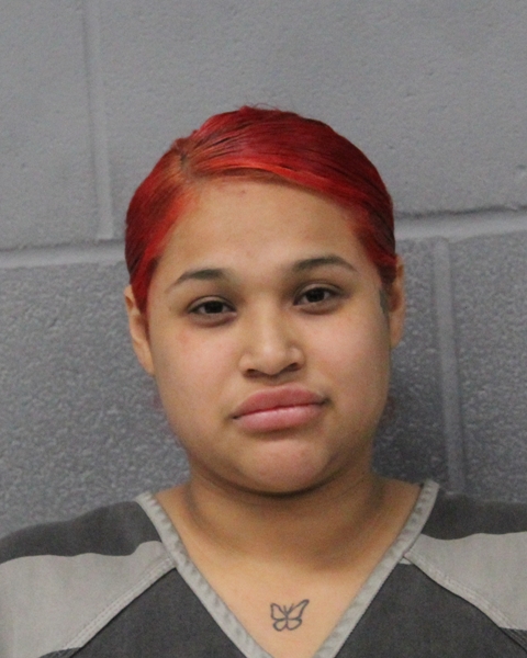 NOELIA ROMERO booking photo