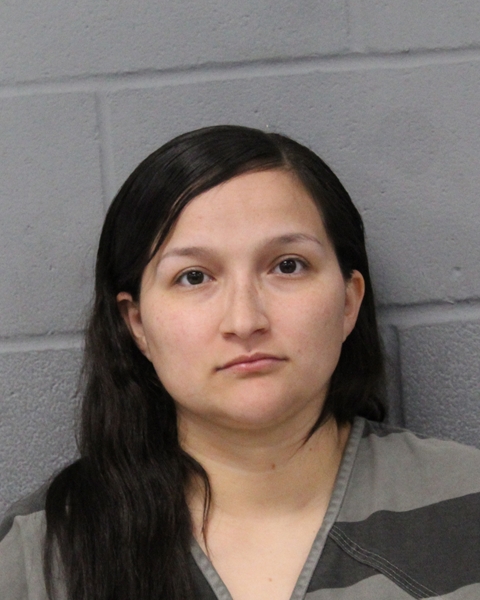 DESIREE VILLANUEVA booking photo