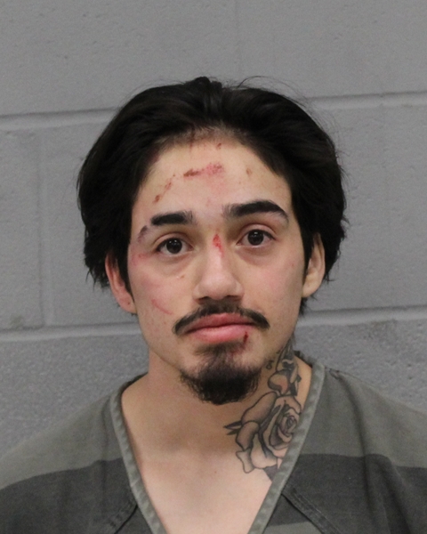 MATTHEW ARAUJO booking photo