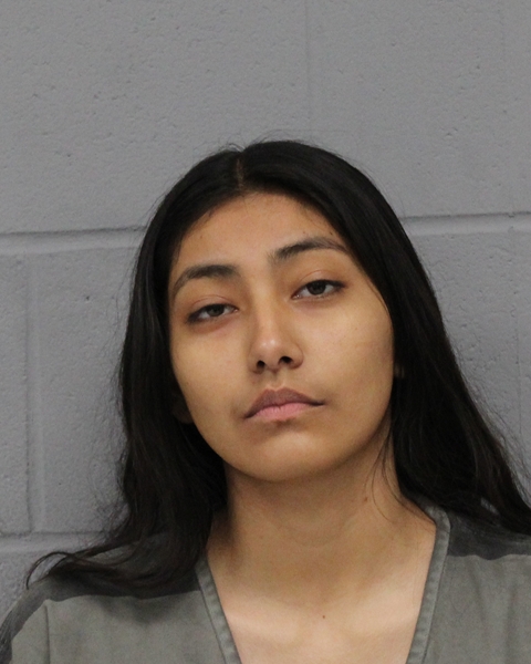 ARIANA RIZO booking photo