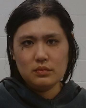 Dinh-Achen, Thy Ngoc arrested by Collin County SO