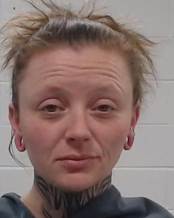 WIENKE, KRISTINA LEEAN arrested by Collin County SO