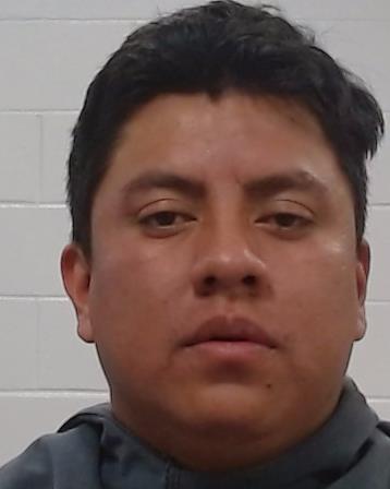 Hernandez-Cholotio, Pedro Domin arrested by Collin County SO