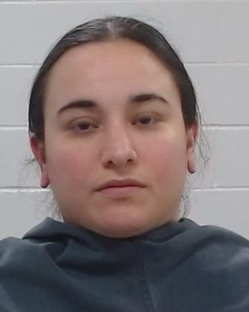 ULLOA, MARINA ARACELY arrested by Collin County SO