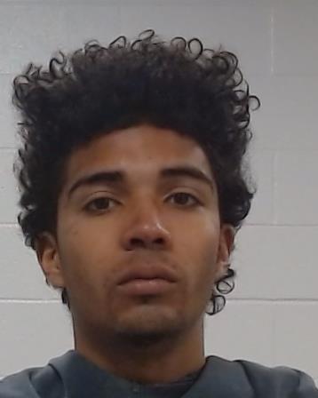 Howard, Rise arrested by Collin County SO