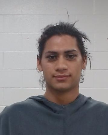 Ramirez Palencia, Gerson Samuel booking photo