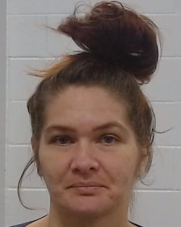 Stinson, Michaelle Darlene arrested by Collin County SO