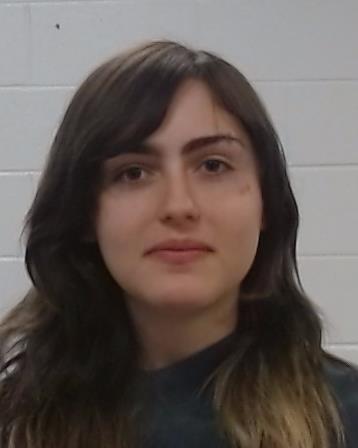 Schessler, Yessica Alejandra arrested by Collin County SO