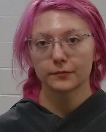 Moser, Monica Elizabeth arrested by Collin County SO