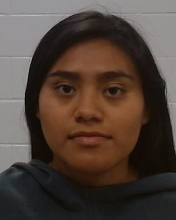 Flores-Petterson, Viehira arrested by Collin County SO