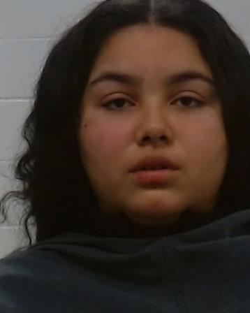 Yancour, Audrey ALYSSA arrested by Collin County SO