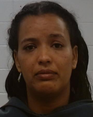 Tesfahanes Hailemica, Danait arrested by Collin County SO