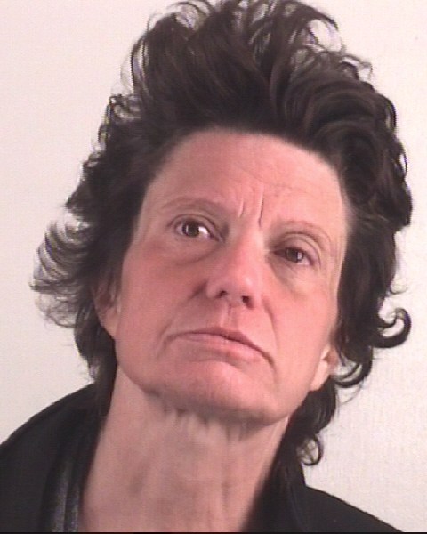 AMY ROBINSON arrested by TDCJ