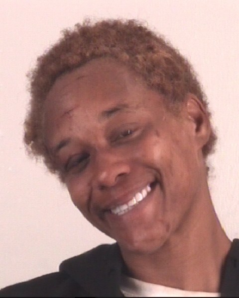 LAUREN PHILLIPS booking photo