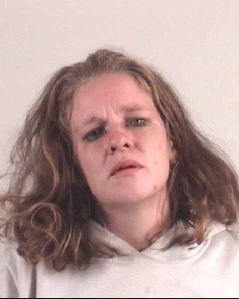 LINDZY GIBBS arrested by Tarrant County SO
