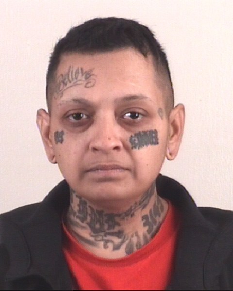 CANDICE LARA arrested by Tarrant County SO