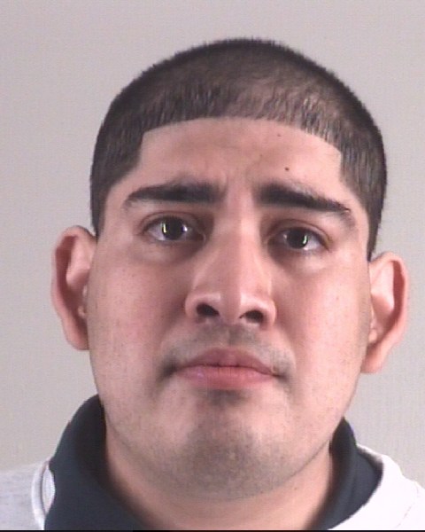 ISMAEL ARELLANO booking photo