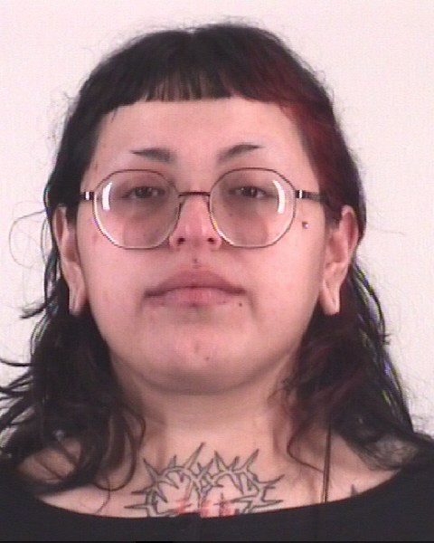 CRYSTAL MEZAPERALES arrested by DALLAS CO SO