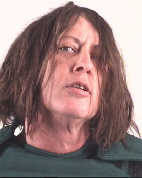 ALISSA REEVES arrested by Tarrant County SO