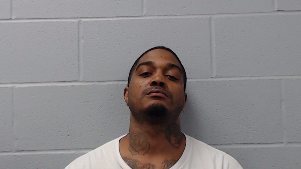 Wilson, Ronald Dewayne, Jr. arrested in Hays County, Texas mugshot
