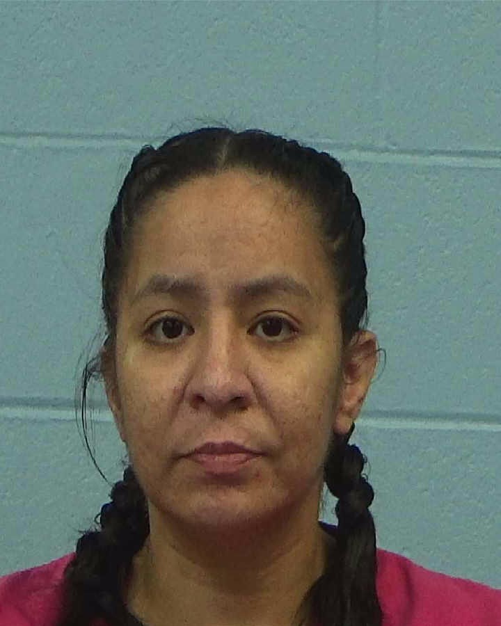 Lagunas, Patricia Abigail booking photo