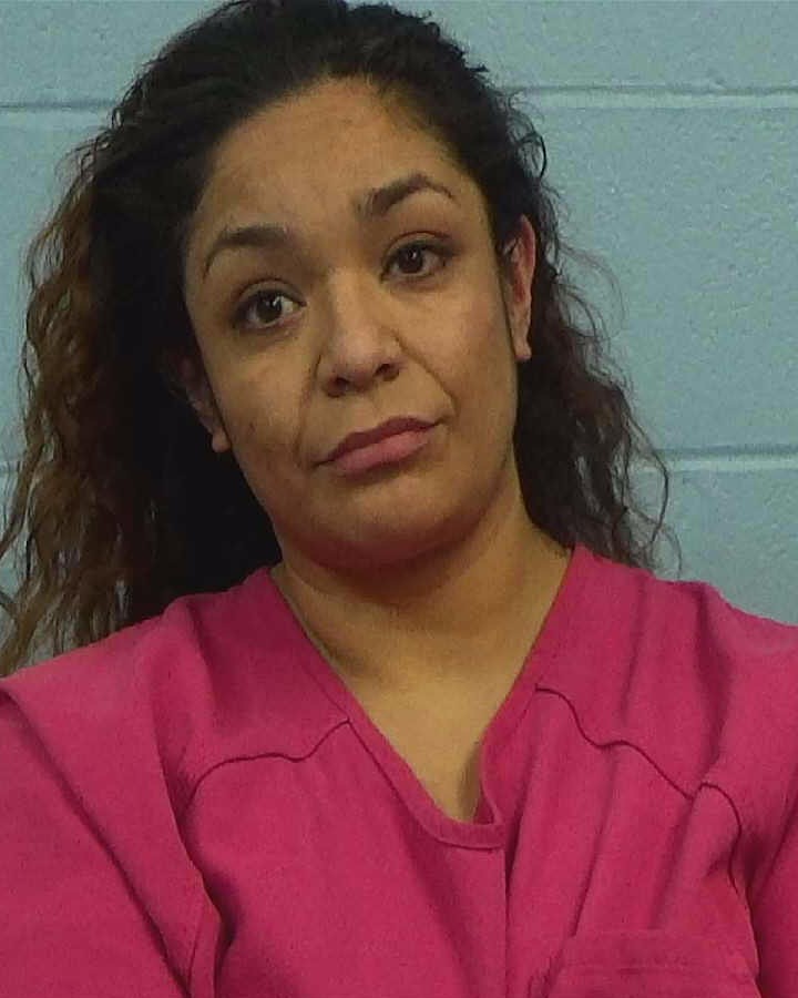 Chan, Cindy Janet booking photo