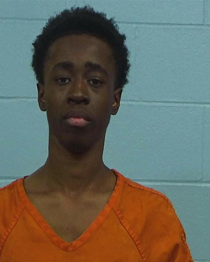 Bele, Erwine Gleyn arrested by Williamson County PD/SO