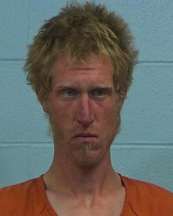 Gibson, Marshall Wayne arrested by Williamson County PD/SO