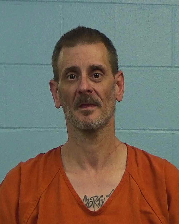 Davison, Shawn Lee arrested by Williamson County PD/SO