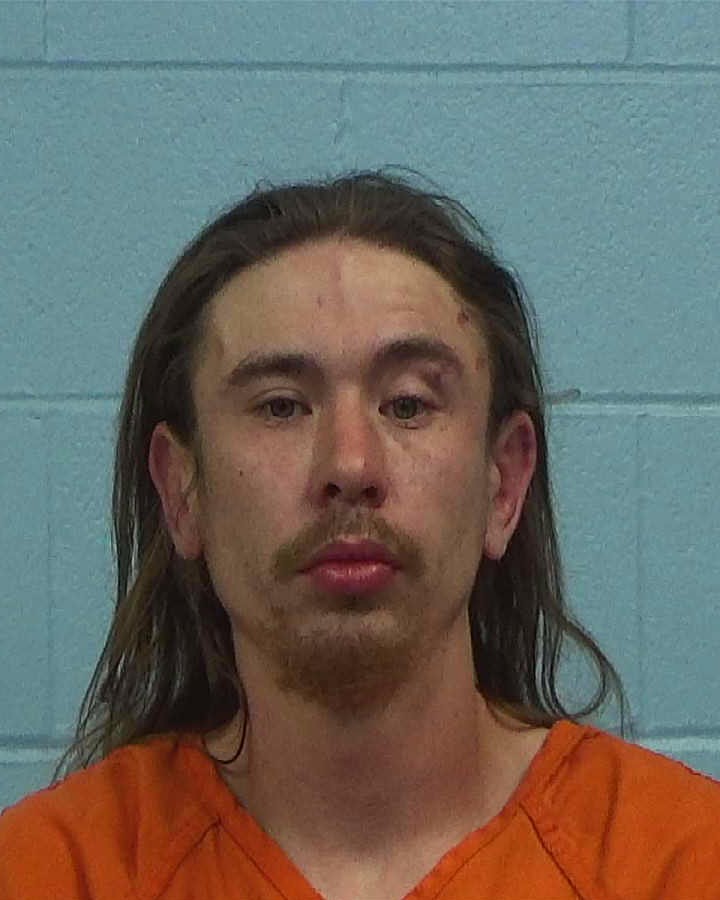Sims, Christopher Michael arrested by Williamson County PD/SO