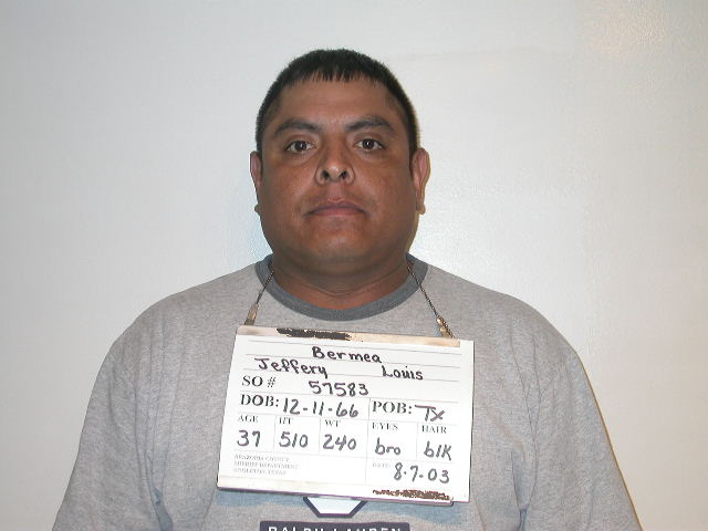 BERMER, JEFFERY LOUIS booking photo