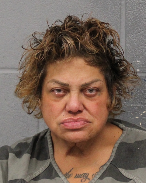 GLORIMAR SANTIAGO booking photo