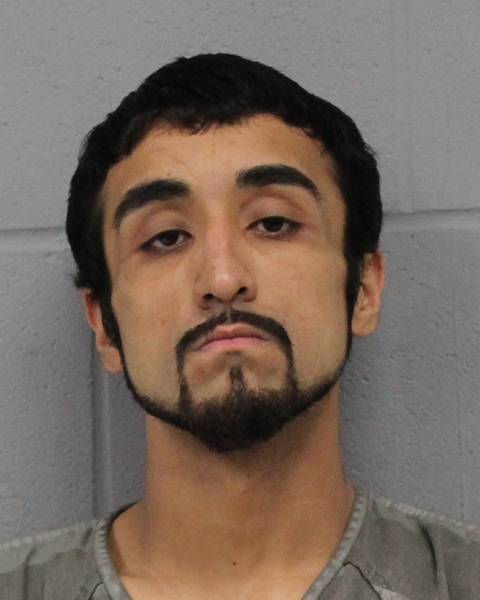 NICHOLAS SEPULVEDA booking photo