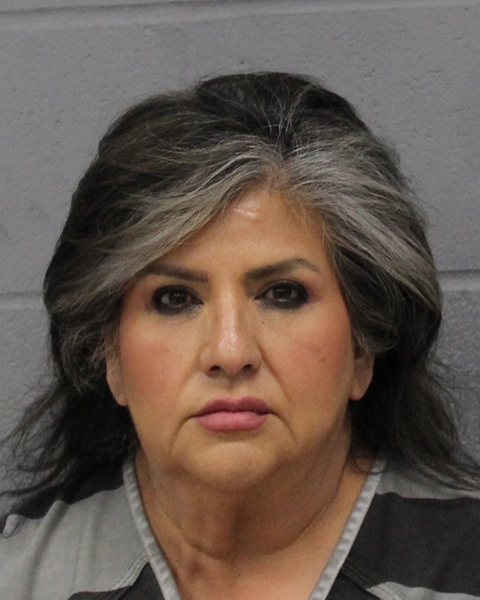 TERESITA GOMEZ booking photo