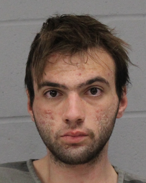 ANTHONY ARLANS booking photo