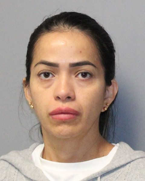 YURY BARON CASTILLO booking photo