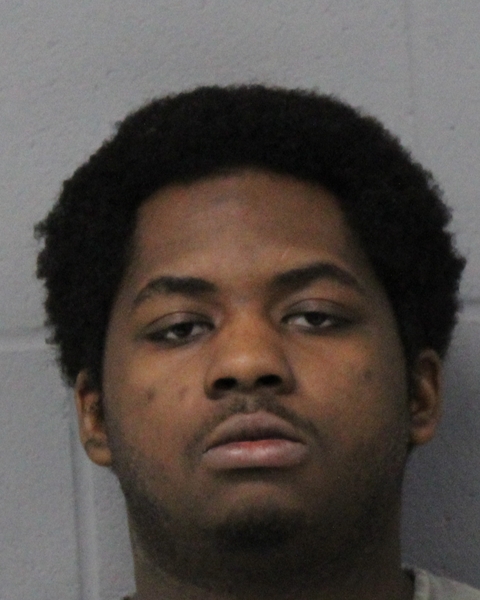 MATTHEW HOUSTON booking photo