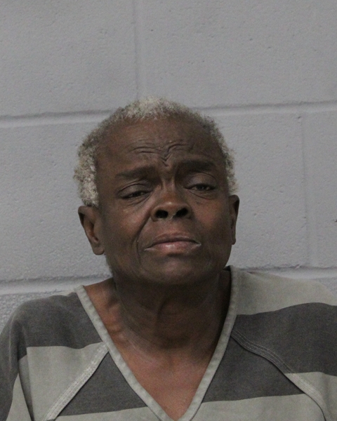 BRIDGETTE BRYANT booking photo