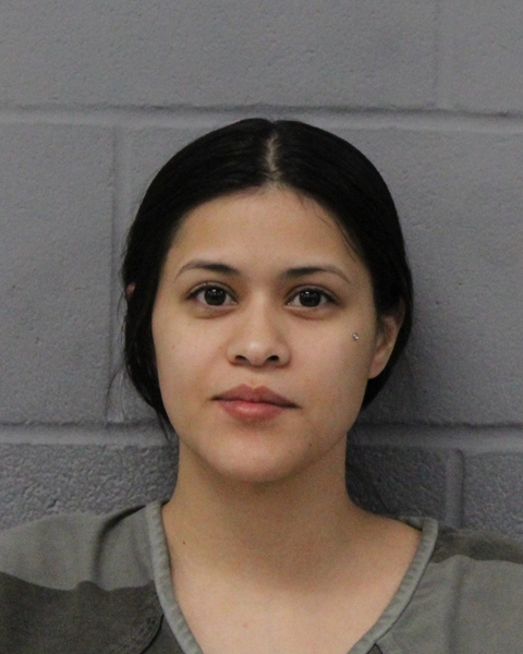 DELANEY TREVINO booking photo