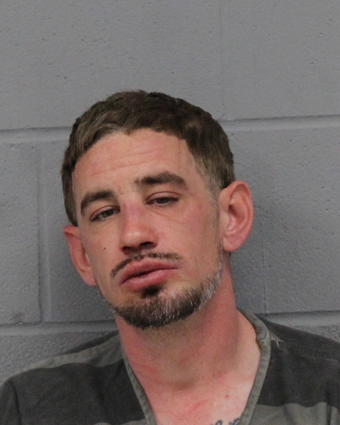 VINCENT CASTILLO booking photo