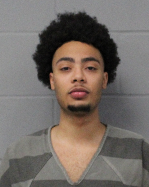 KING HENRY booking photo