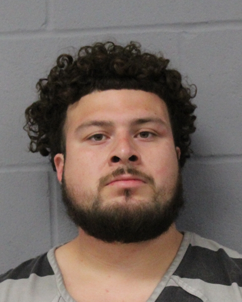 LUIS HERNANDEZ booking photo